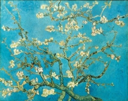 Almond Blossom Poster by Vincent Van Gogh